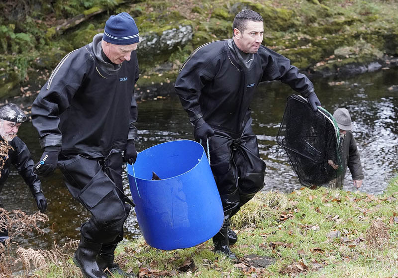 RiverCreeElectrFishing_10-11-2020-041