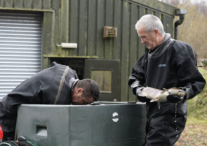 RiverCreeElectrFishing_10-11-2020-044