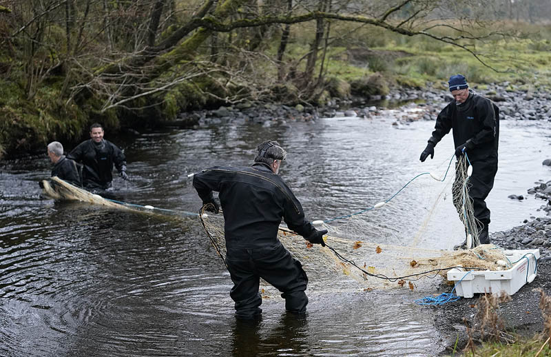RiverCreeElectrFishing_10-11-2020-050