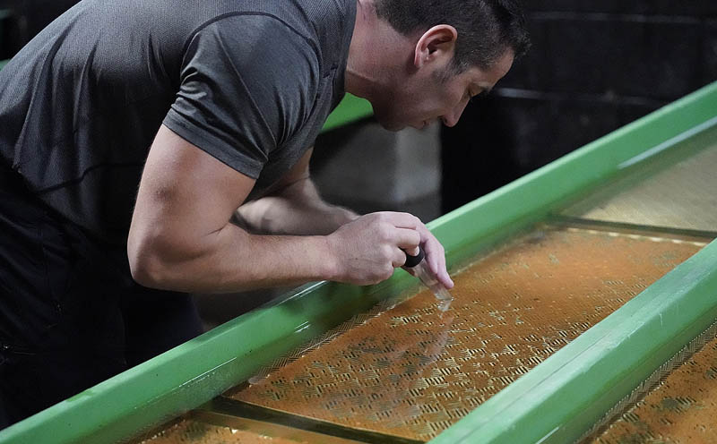 RiverCreeElectrFishing_10-11-2020-151